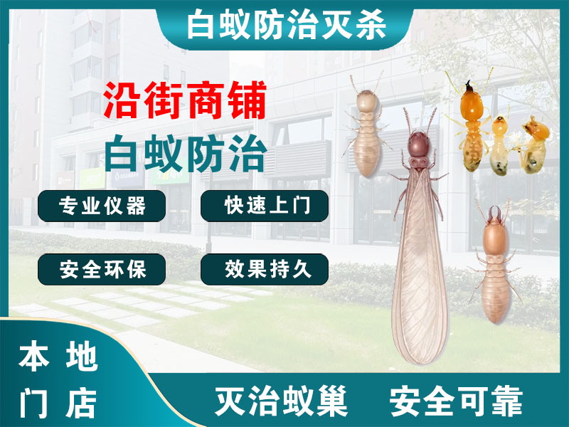 海盐沿街商铺白蚁防治