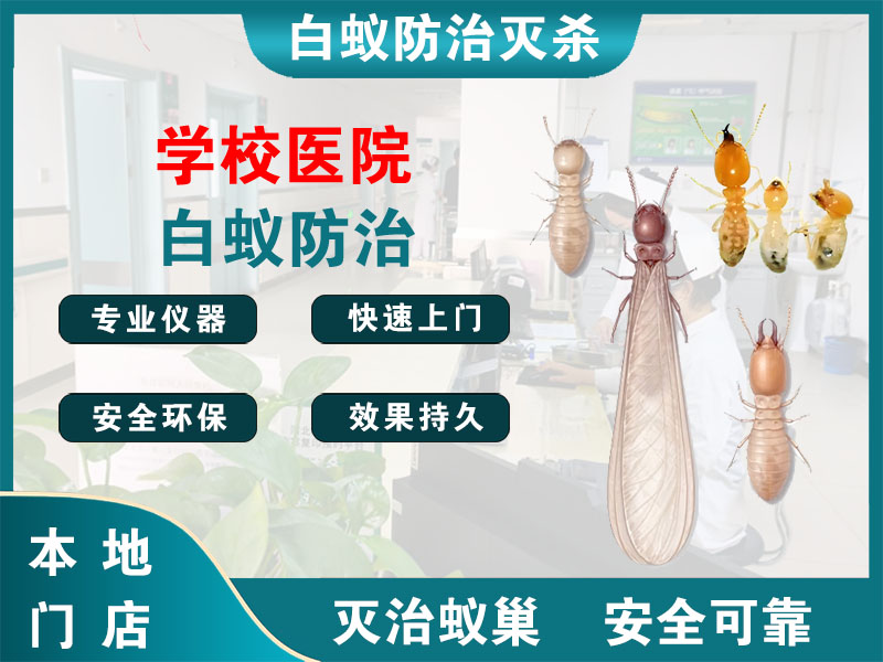 海盐学校医院白蚁防治