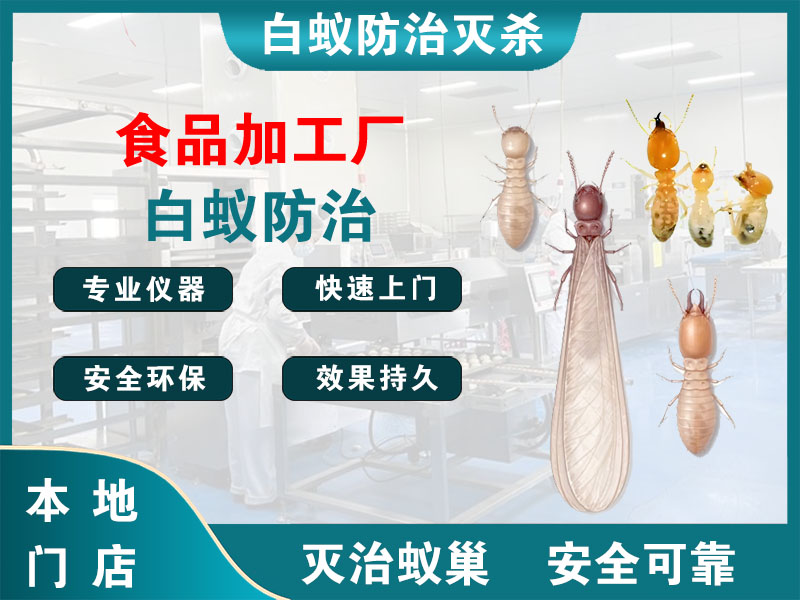海盐食品加工厂白蚁防治