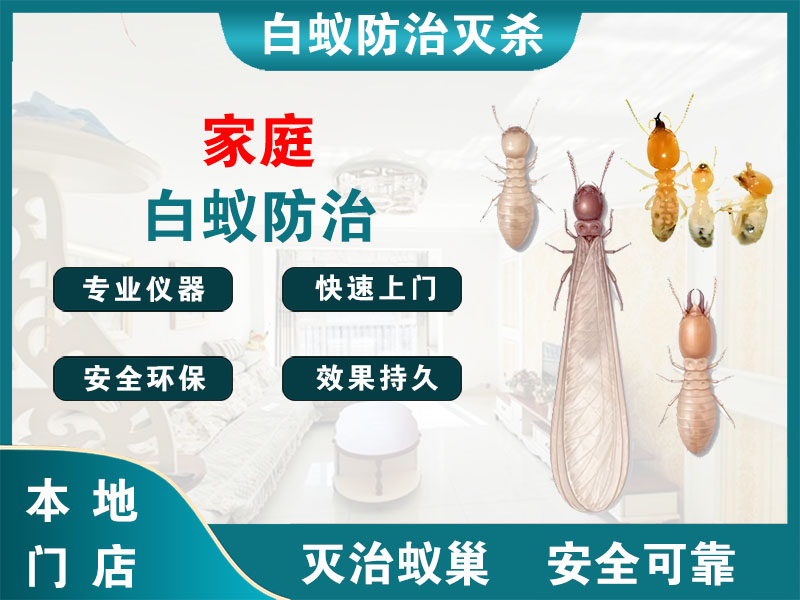海盐家庭白蚁防治