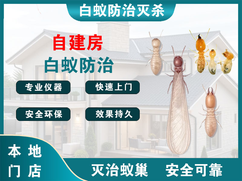 海盐自建房白蚁防治
