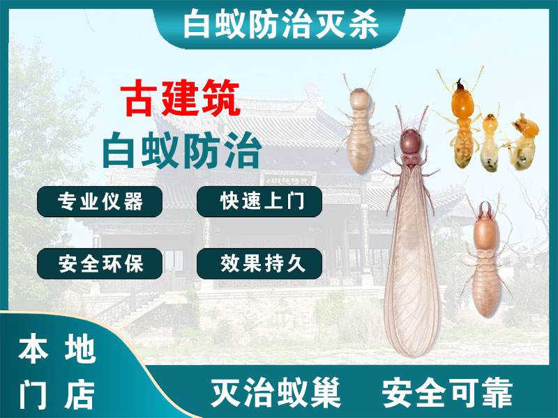 海盐古建筑白蚁防治