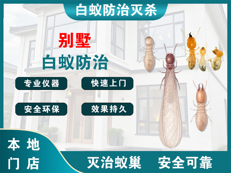 海盐别墅白蚁防治