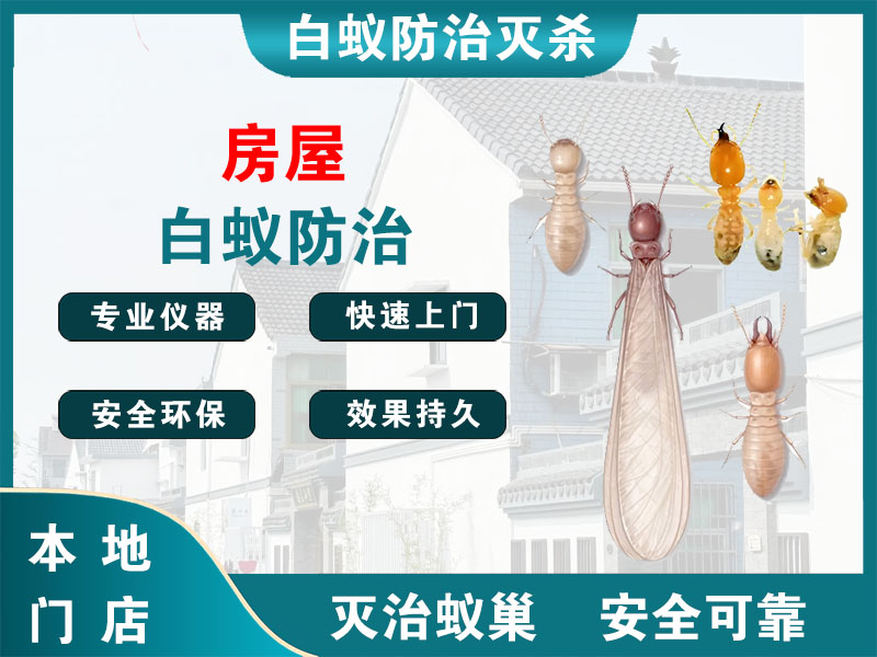 海盐房屋白蚁防治